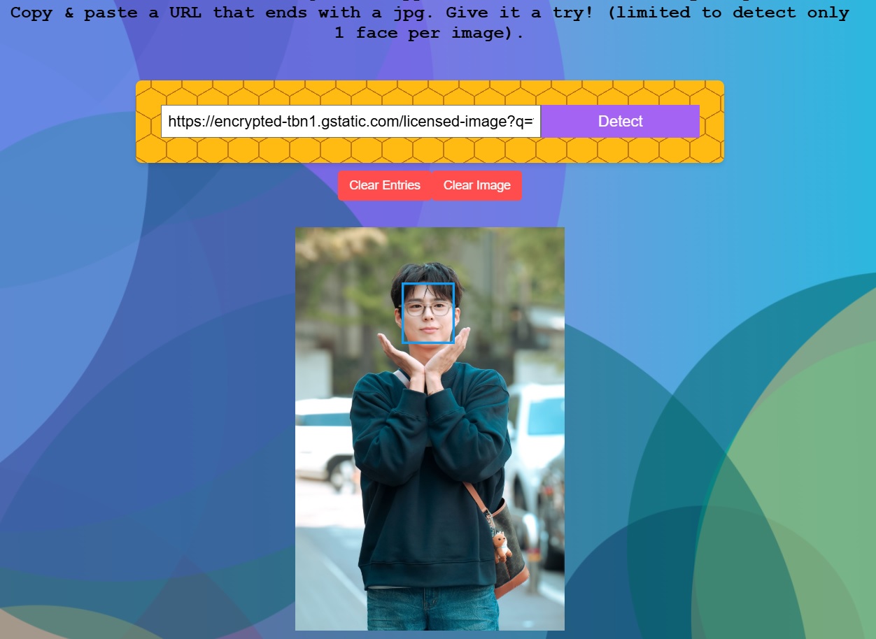Facial Recognition